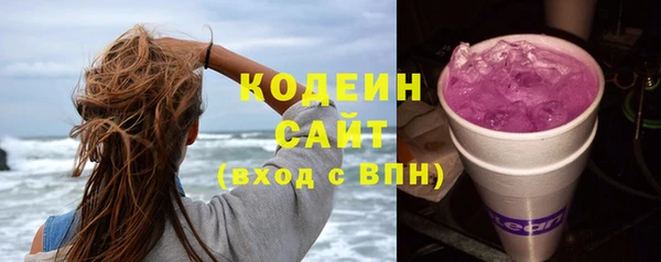 дживик Арсеньев