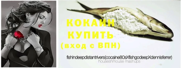 шишки Армянск