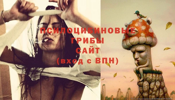 первитин Балахна