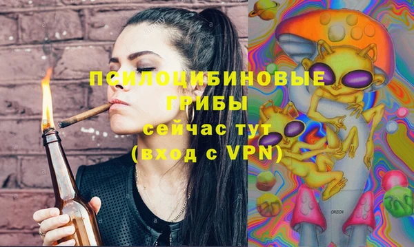 шишки Армянск